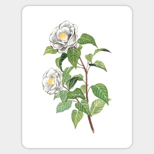 November 11th birthday flower Sticker